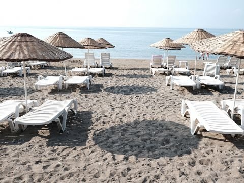 Shots from the Beach